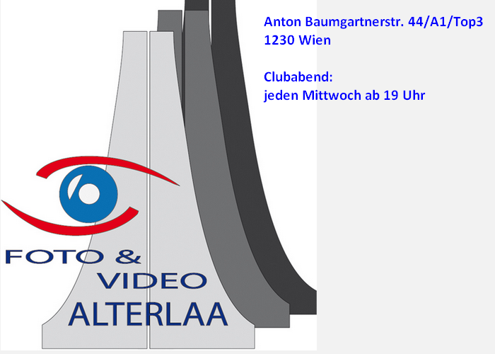 Bild Logo 700 x 500